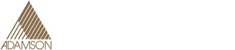 Vergence Group